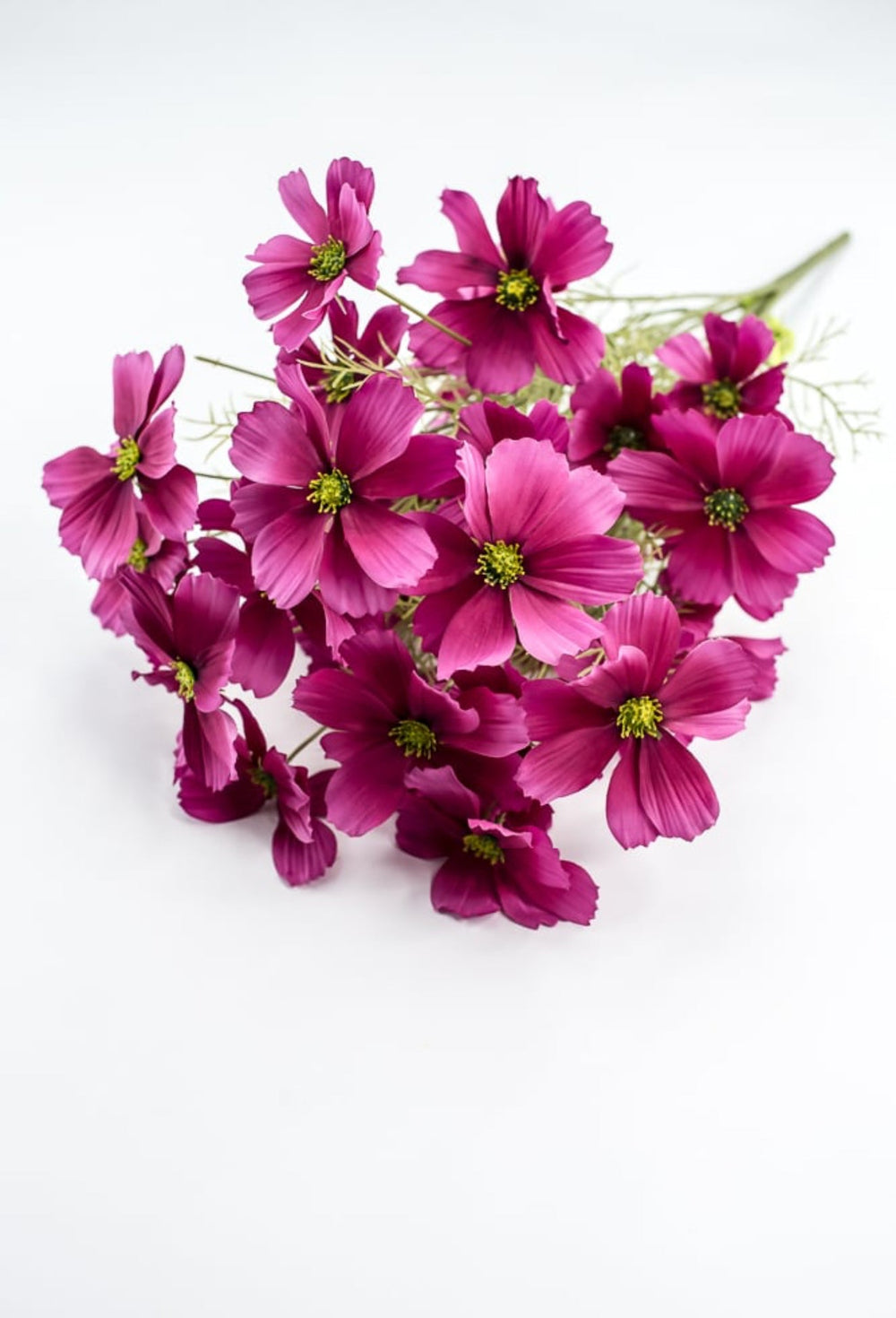 Byzantine Garden Cosmos Bush - Greenery Market63664BT