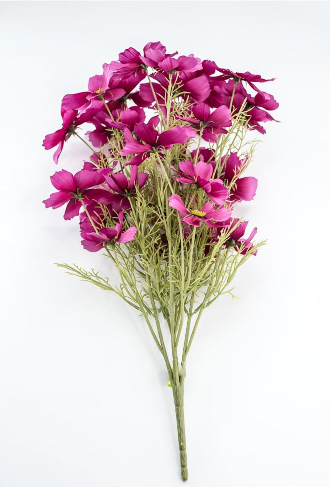 Byzantine Garden Cosmos Bush - Greenery Market63664BT