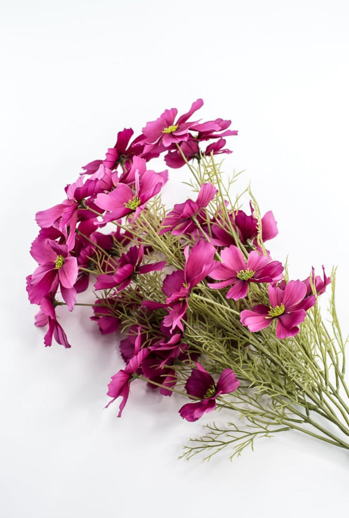 Byzantine Garden Cosmos Bush - Greenery Market63664BT