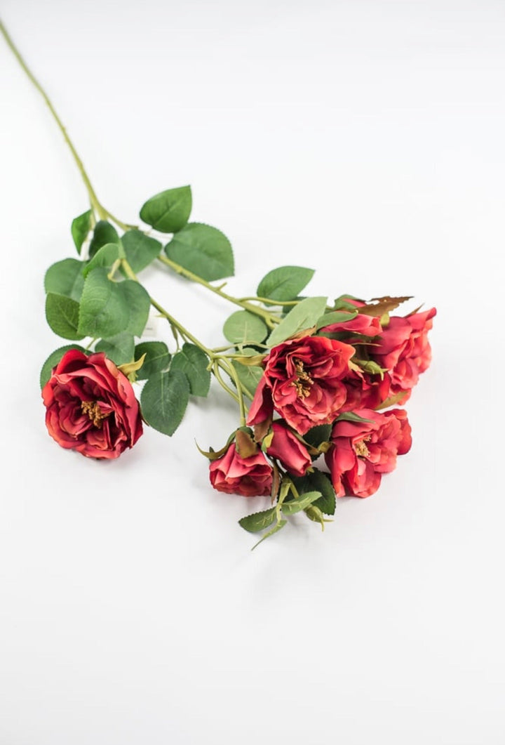 Cabbage rose spray - red orange - Greenery Market5977ROG