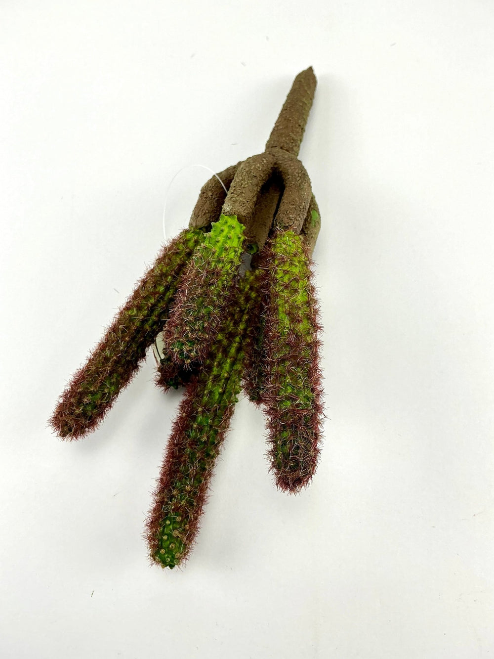 Cactus, prickly ginger cactus stems - Greenery MarketArtificial SucculentsMtf22245