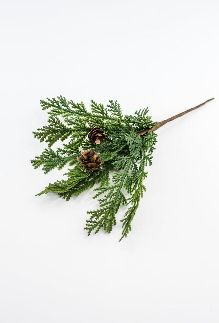 Cedar picks - bulk buy x 3 - Greenery MarketX640