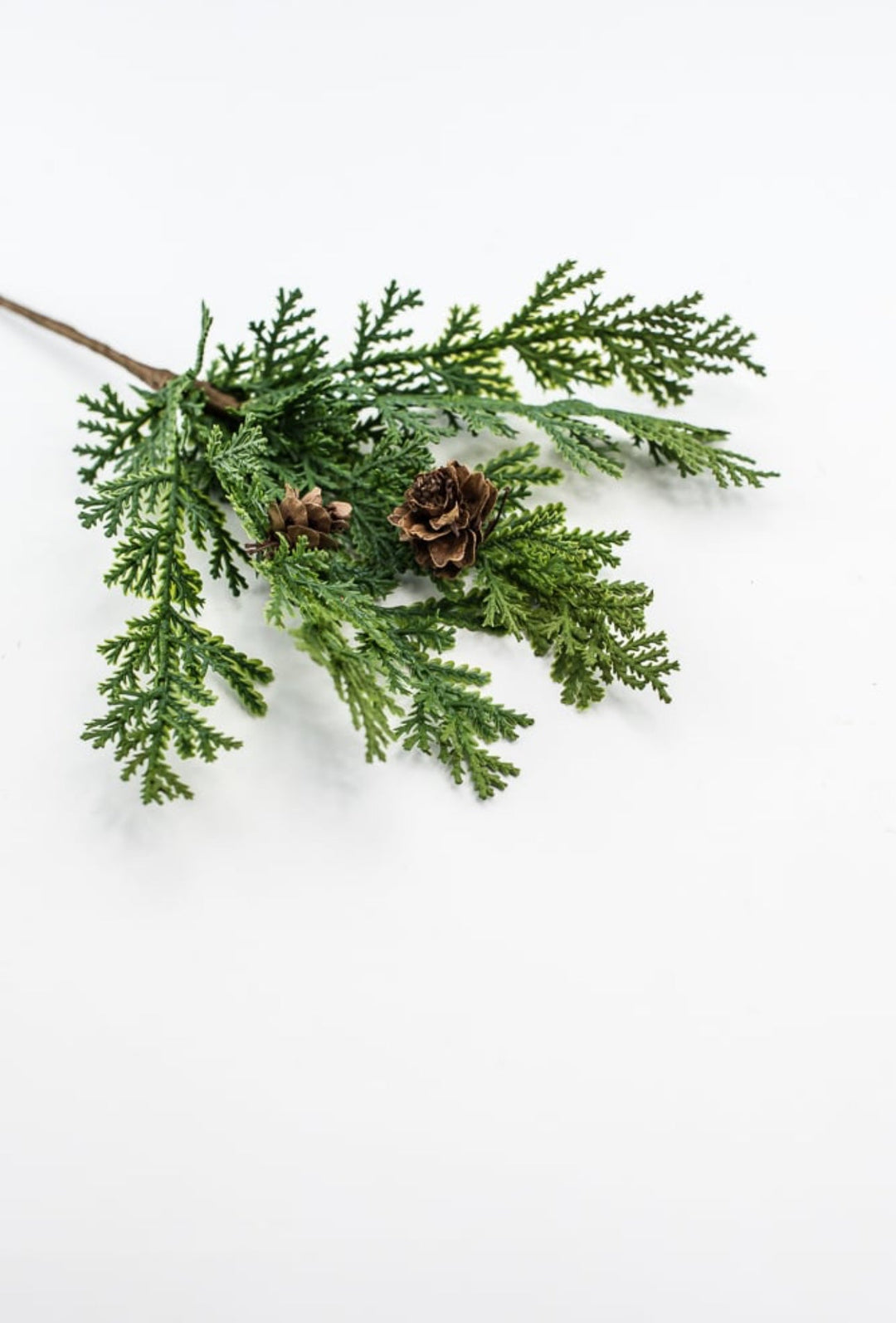 Cedar picks - bulk buy x 3 - Greenery MarketX640
