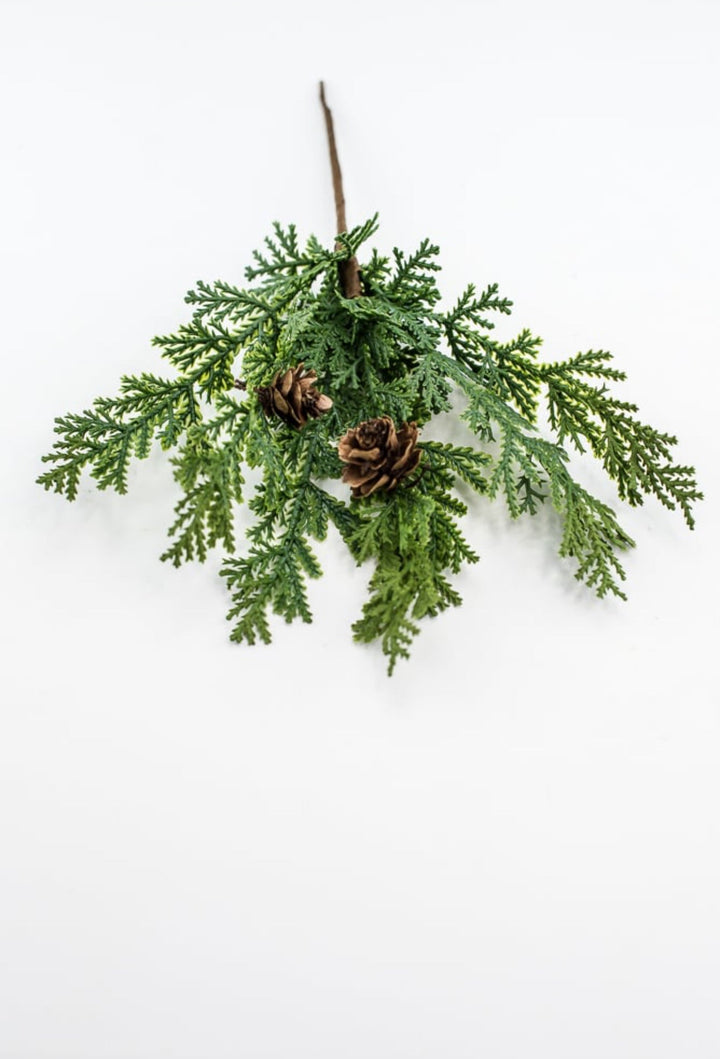 Cedar picks - bulk buy x 3 - Greenery MarketX640