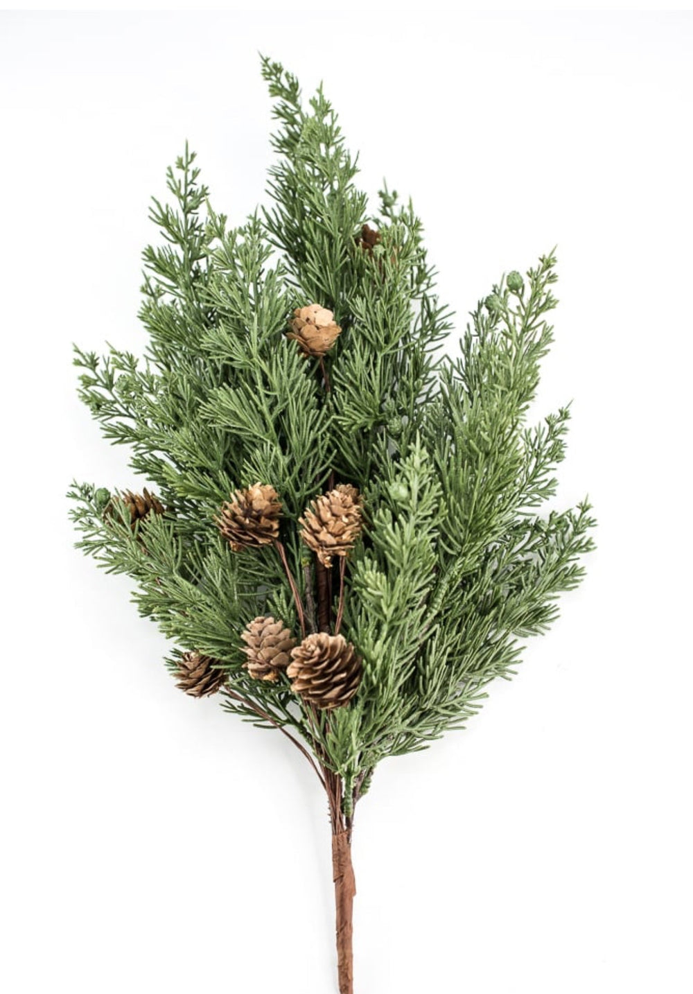 Cedar pine bush with cones - Greenery Marketgreenery84823BU19