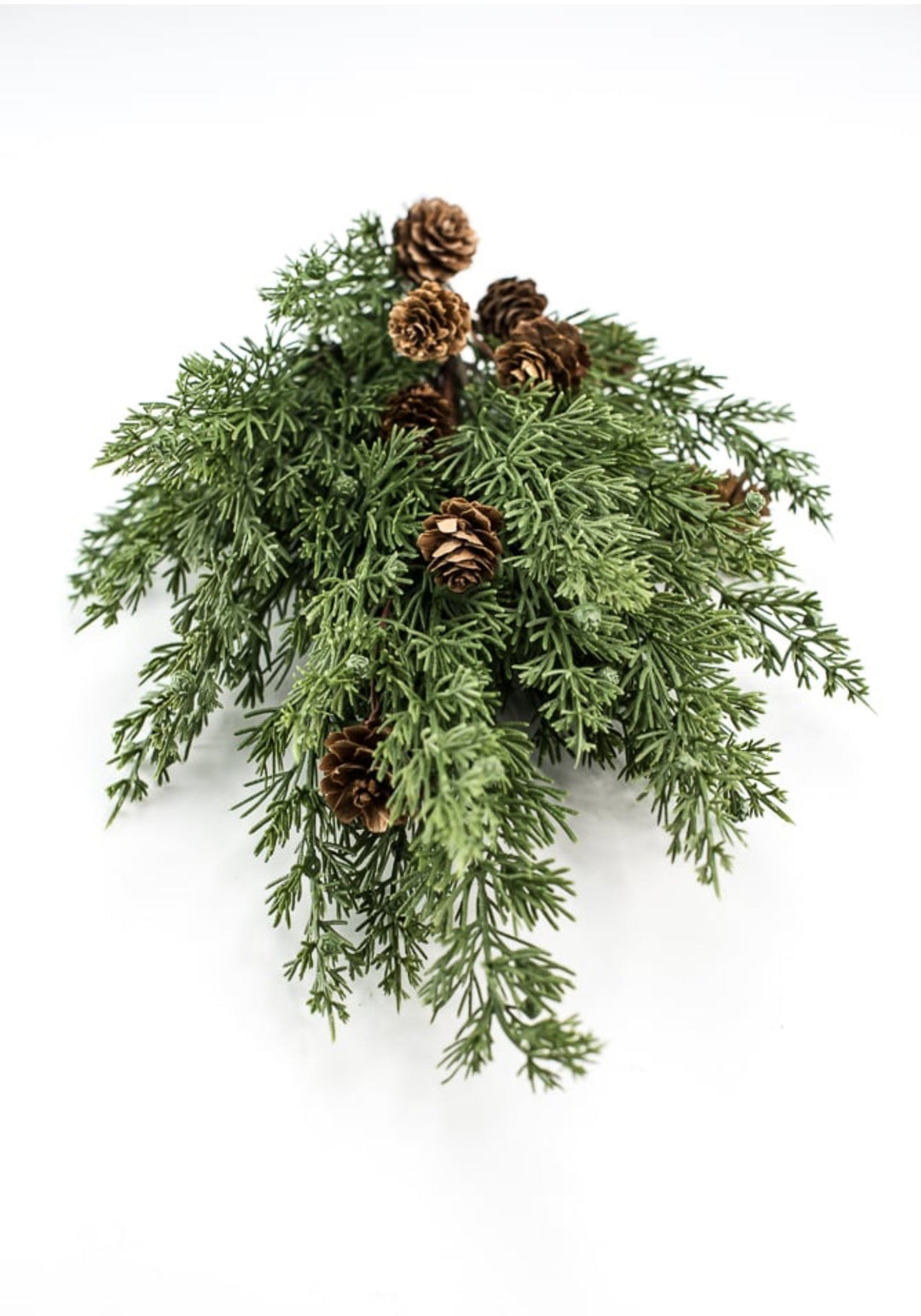 Cedar pine bush with cones - Greenery Marketgreenery84823BU19