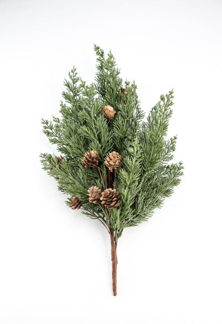 Cedar pine bush with cones - Greenery Marketgreenery84823BU19