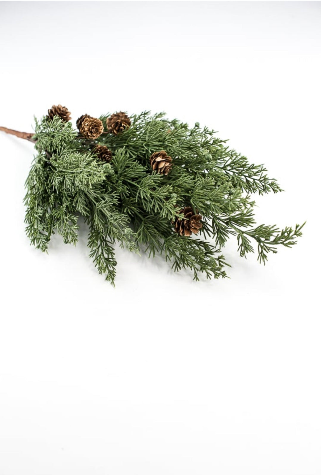 Cedar pine bush with cones - Greenery Marketgreenery84823BU19