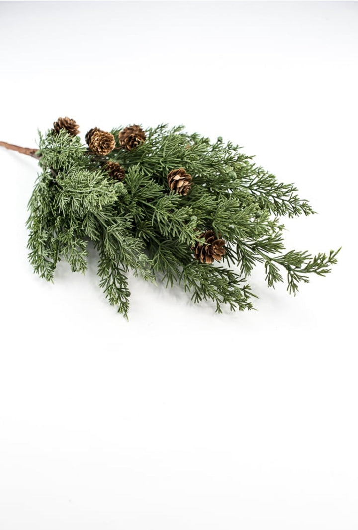 Cedar pine bush with cones - Greenery Marketgreenery84823BU19