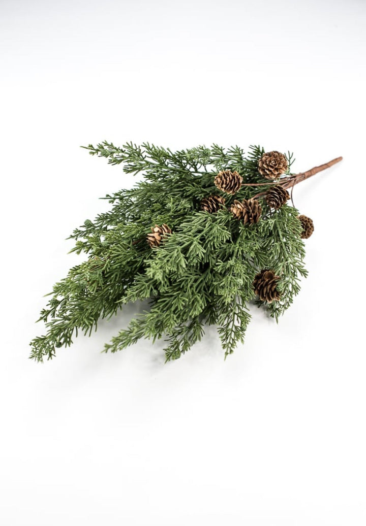 Cedar pine bush with cones - Greenery Marketgreenery84823BU19