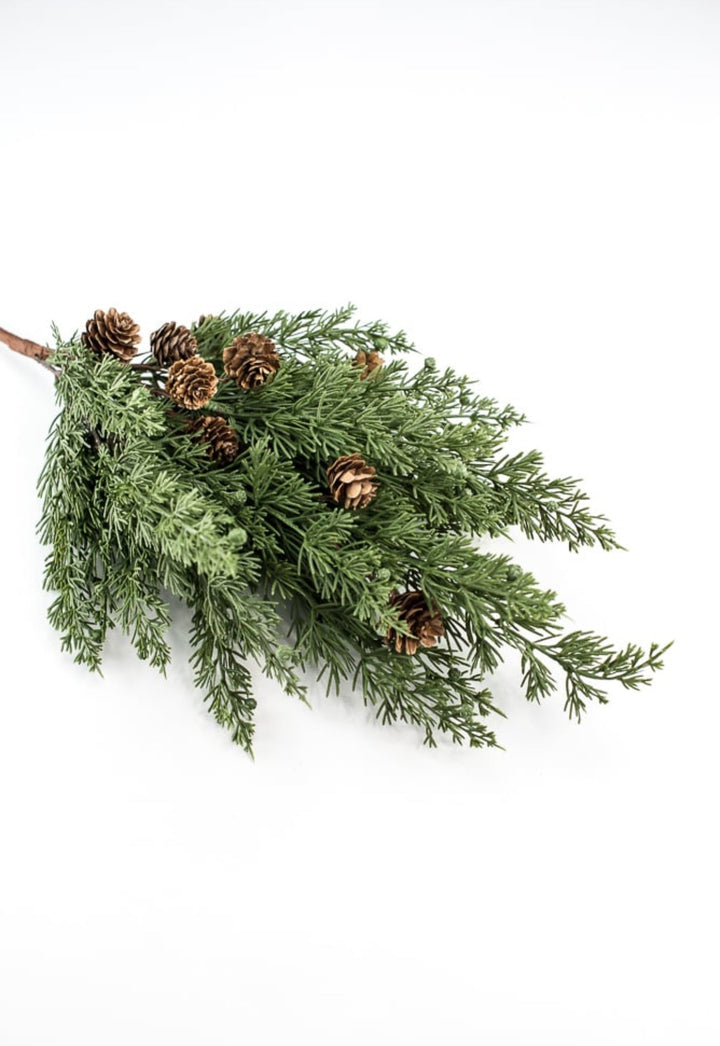 Cedar pine bush with cones - Greenery Marketgreenery84823BU19