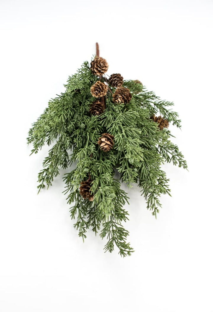 Cedar pine bush with cones - Greenery Marketgreenery84823BU19