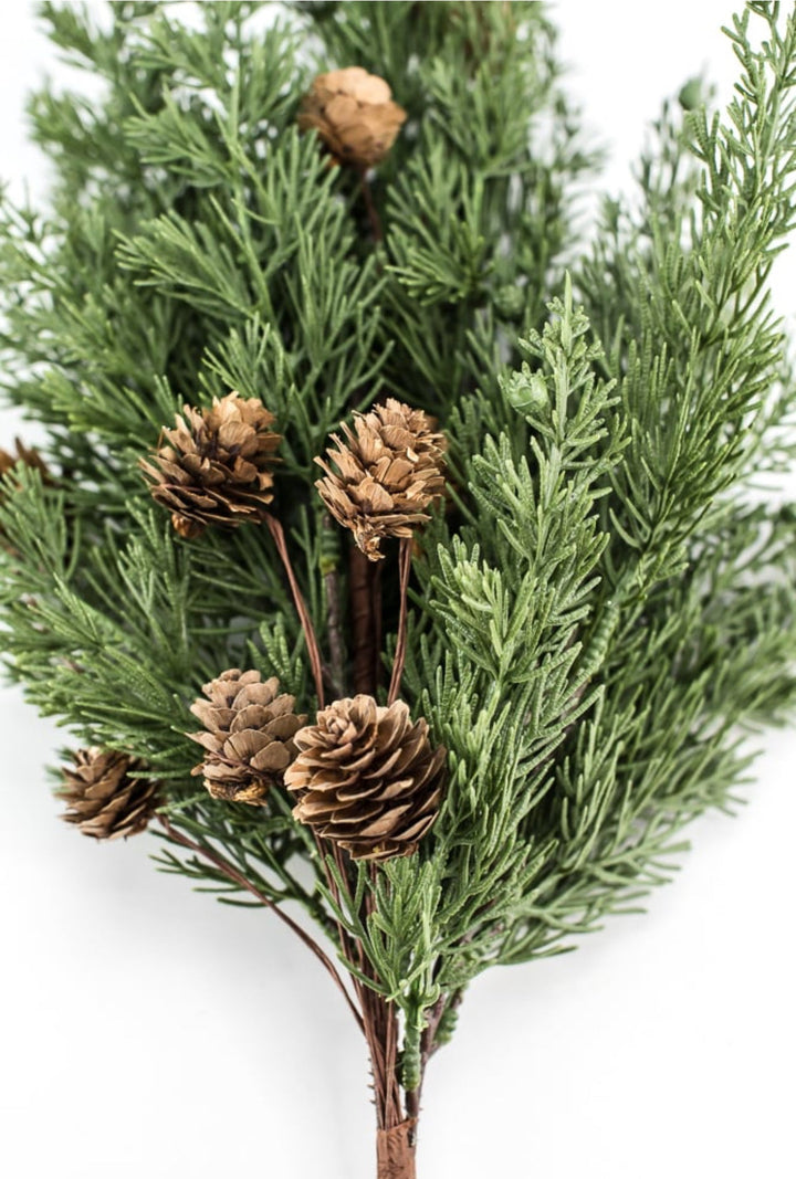 Cedar pine bush with cones - Greenery Marketgreenery84823BU19