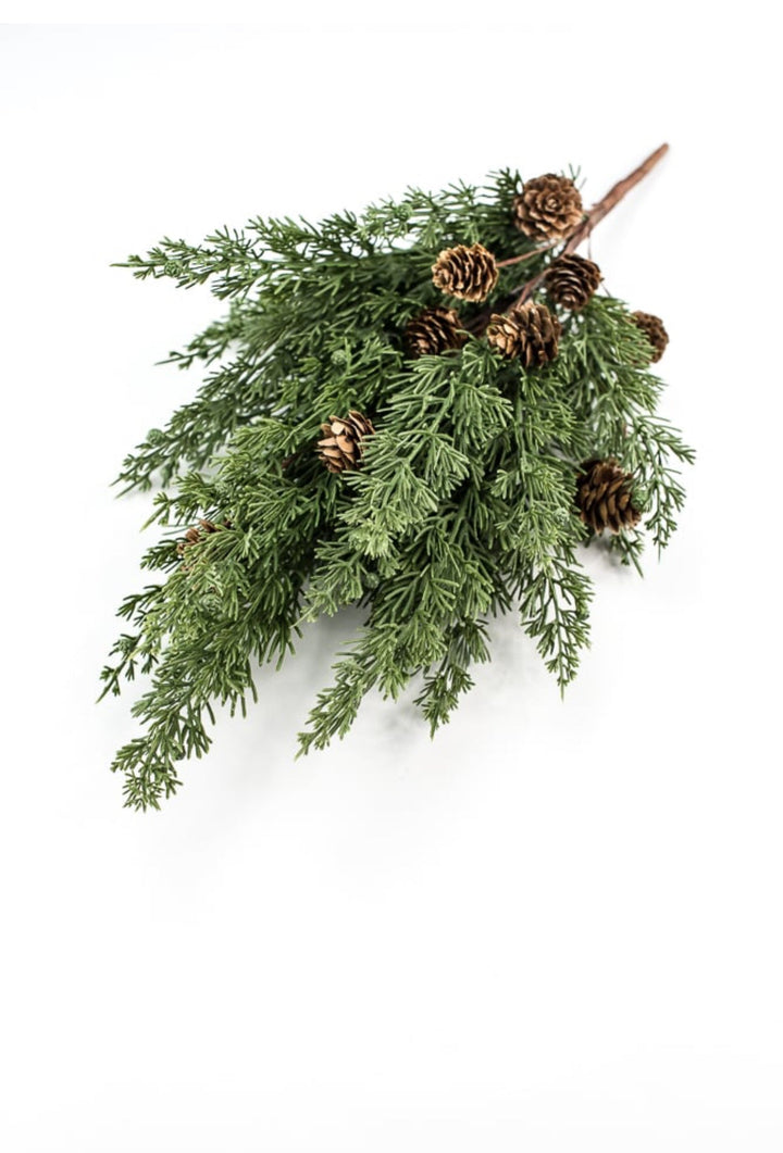 Cedar pine bush with cones - Greenery Marketgreenery84823BU19