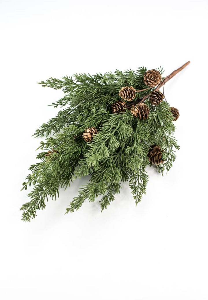Cedar pine bush with cones - Greenery Marketgreenery84823BU19
