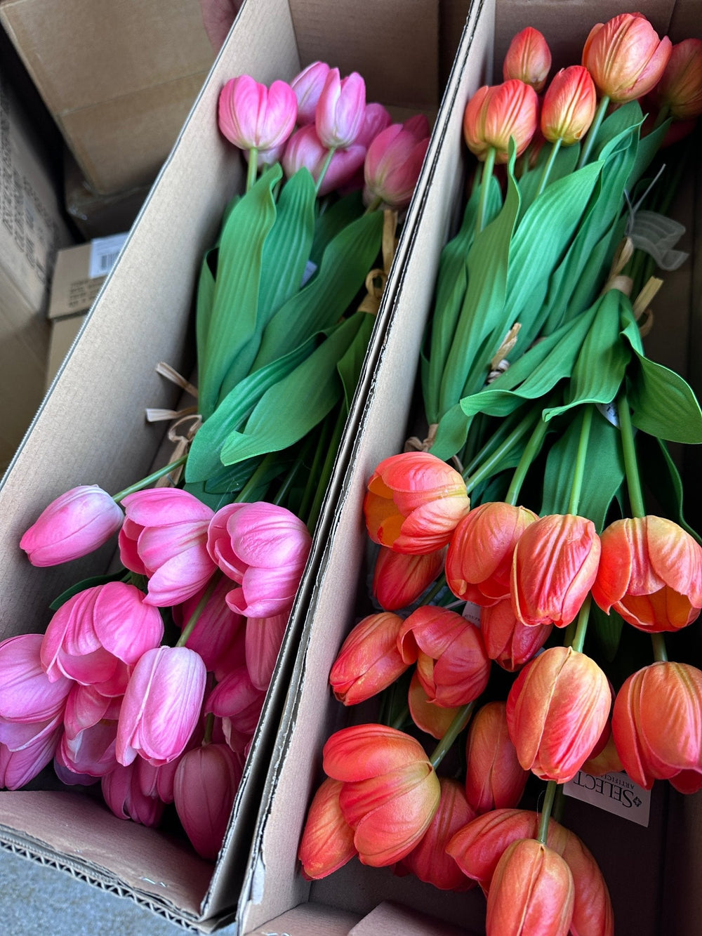 Cerise pink life like tulip bundle - Greenery Market3876 - cer