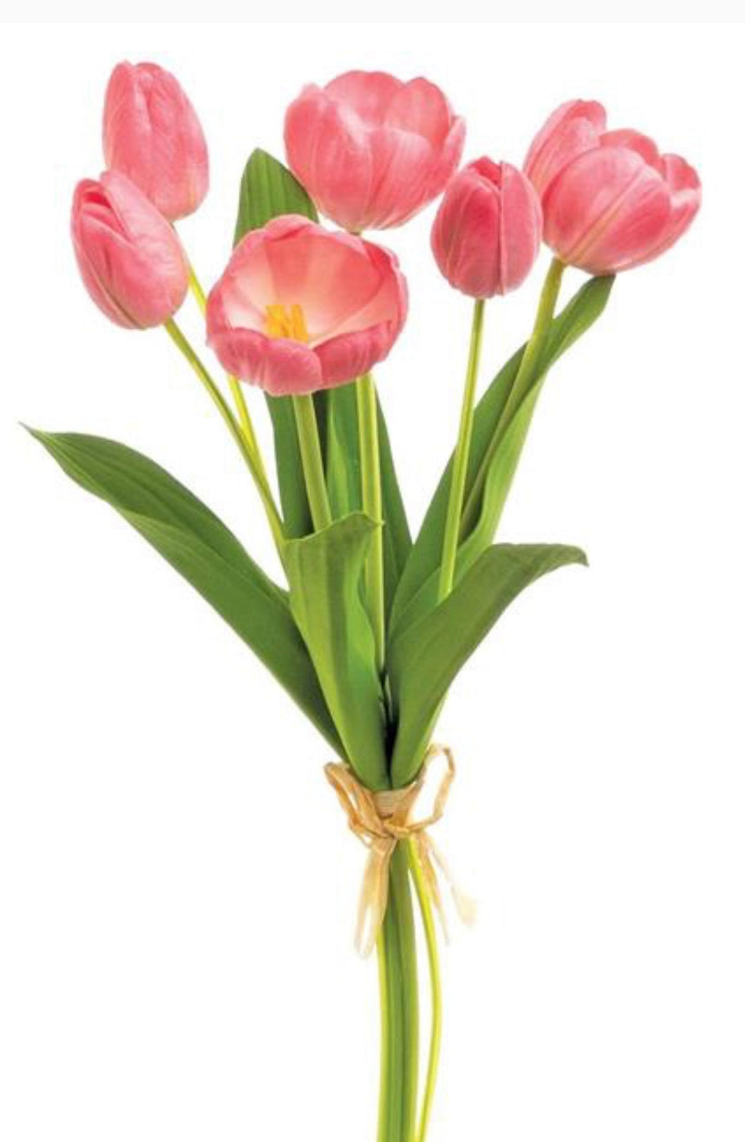 Cerise pink life like tulip bundle - Greenery Market3876 - cer