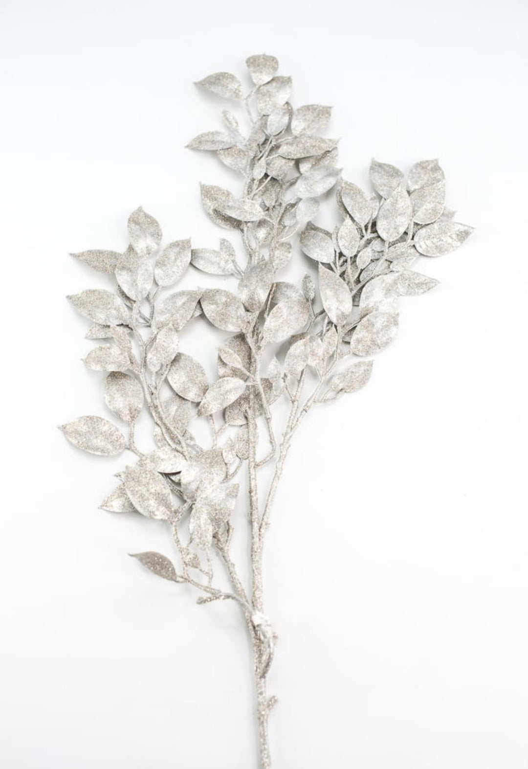 Champagne laurel leaf spray - Greenery MarketXg871 - CH