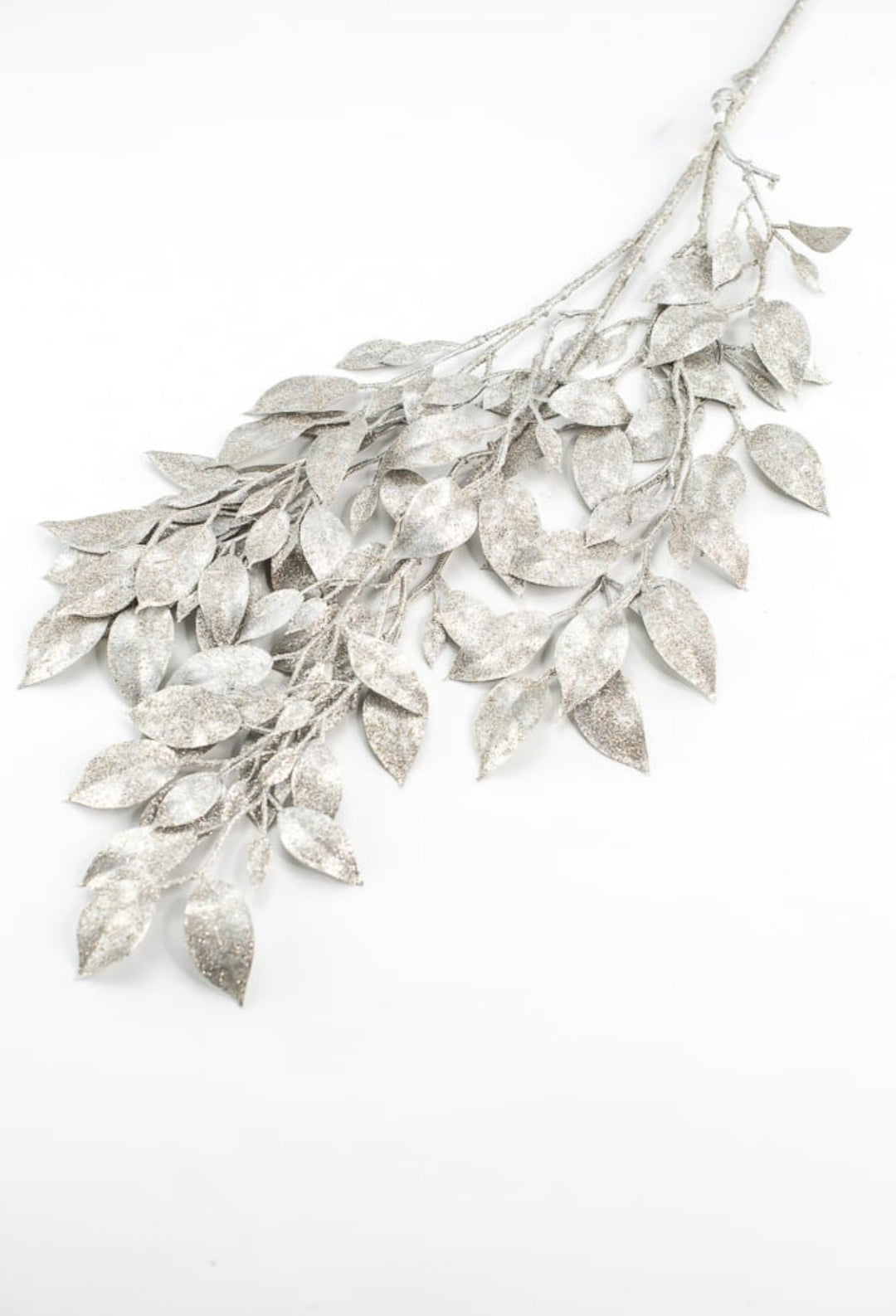 Champagne laurel leaf spray - Greenery MarketXg871 - CH