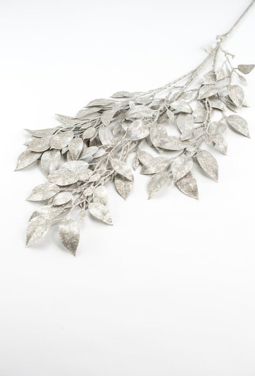 Champagne laurel leaf spray - Greenery MarketXg871 - CH