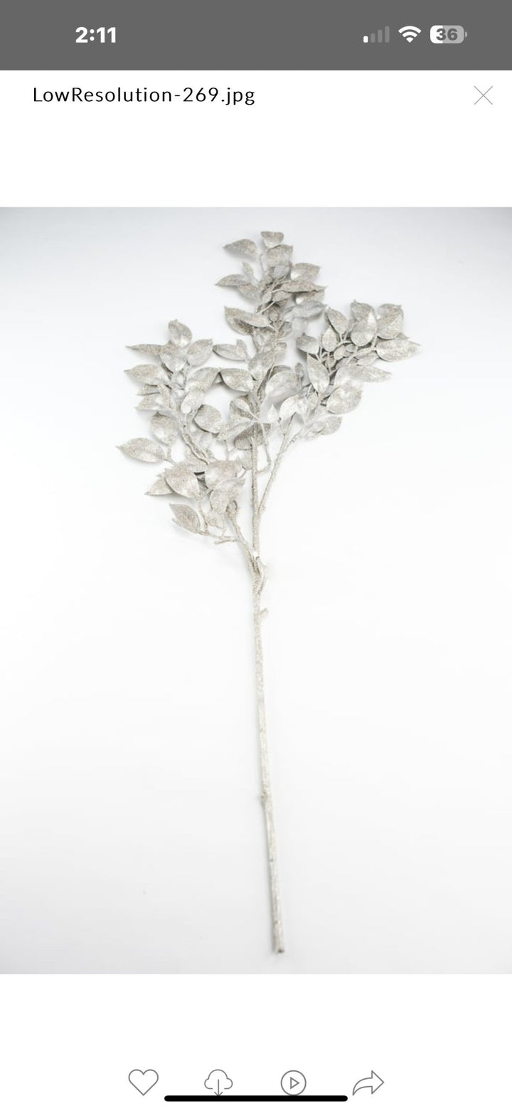 Champagne laurel leaf spray - Greenery MarketXg871 - CH