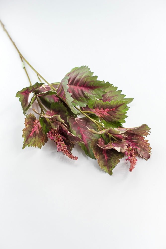 Coleus Leaves Spray - Green Pink - Greenery MarketMTF24457 PKGR