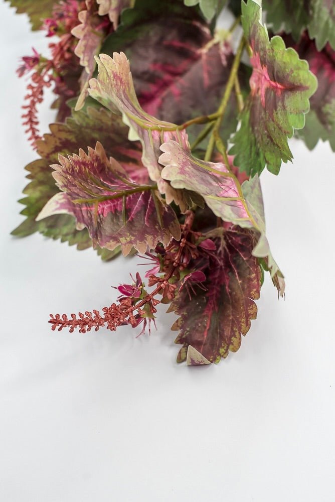 Coleus Leaves Spray - Green Pink - Greenery MarketMTF24457 PKGR