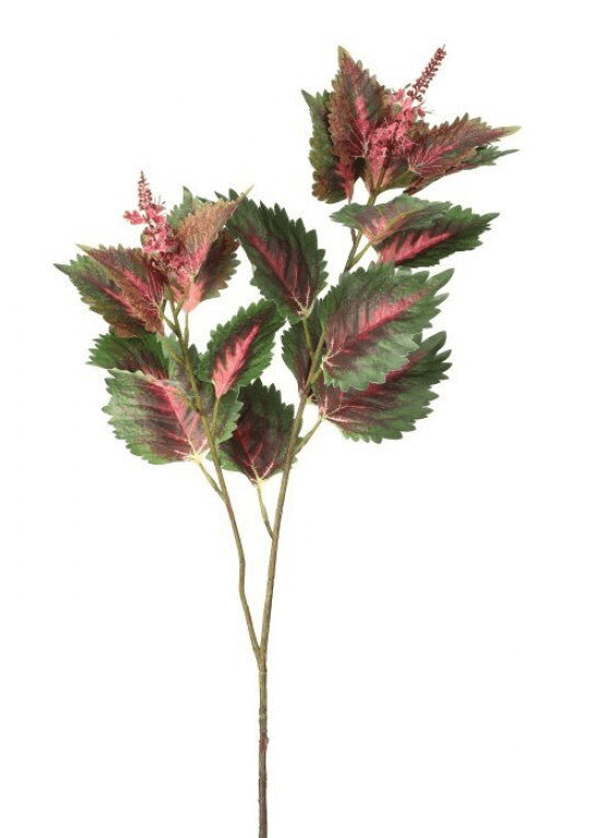 Coleus Leaves Spray - Green Pink - Greenery MarketMTF24457 PKGR