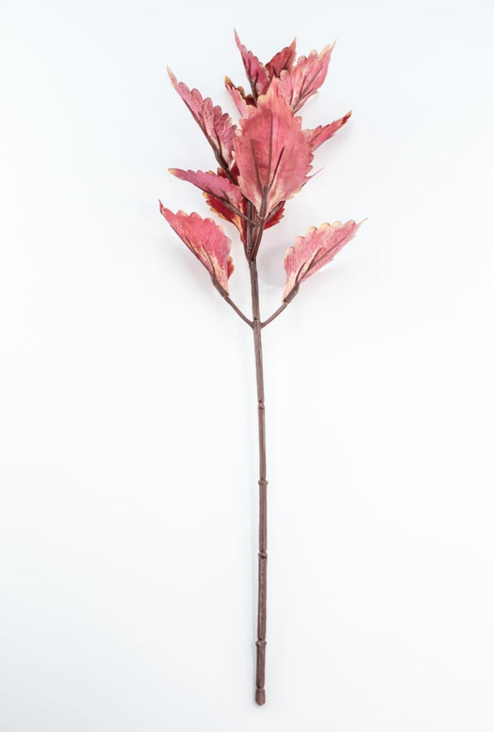 Colues Leaves Pick - Brick - Greenery MarketFL6857 - BRI