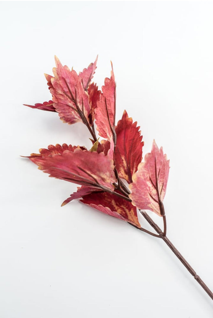 Colues Leaves Pick - Brick - Greenery MarketFL6857 - BRI