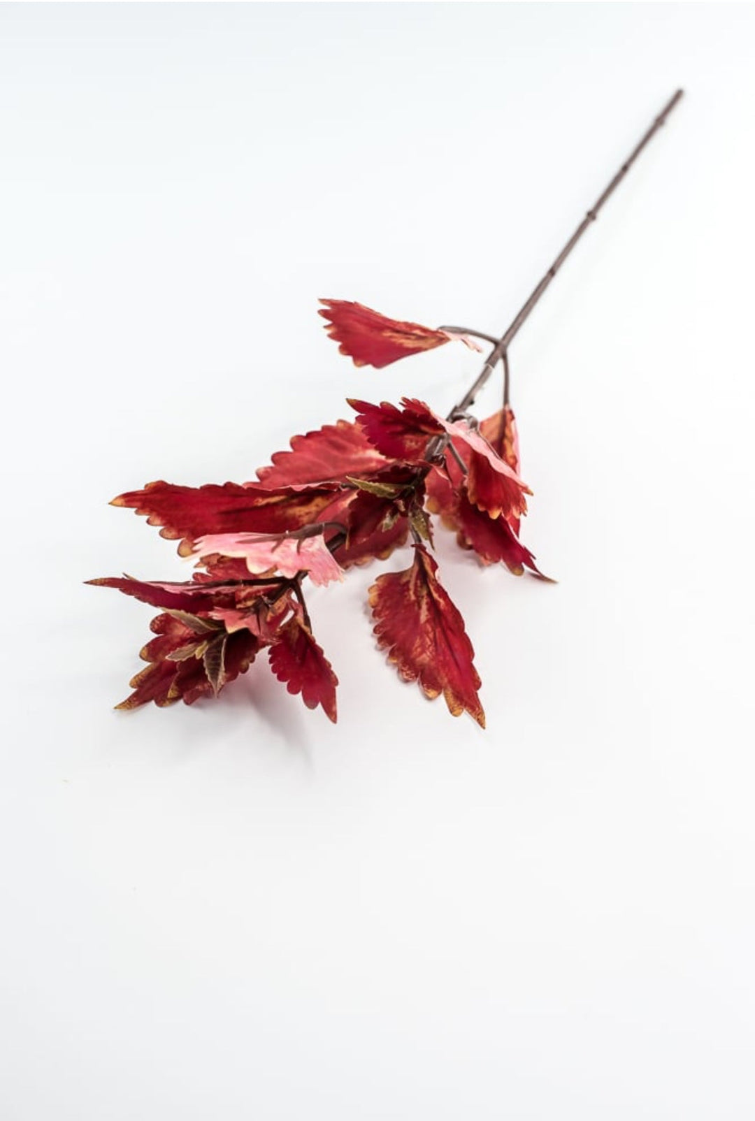 Colues Leaves Pick - Brick - Greenery MarketFL6857 - BRI