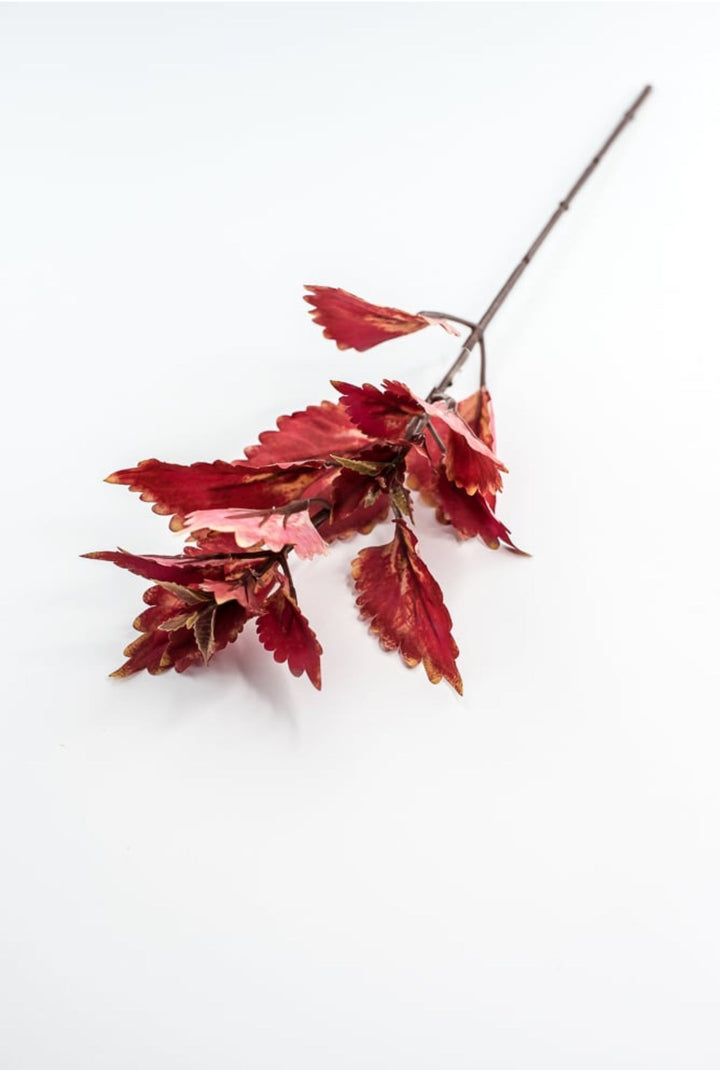 Colues Leaves Pick - Brick - Greenery MarketFL6857 - BRI