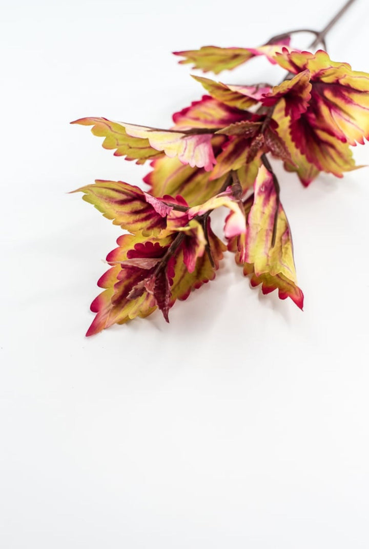 Colues Leaves Pick - Multi - Greenery MarketFL6857 - AUT