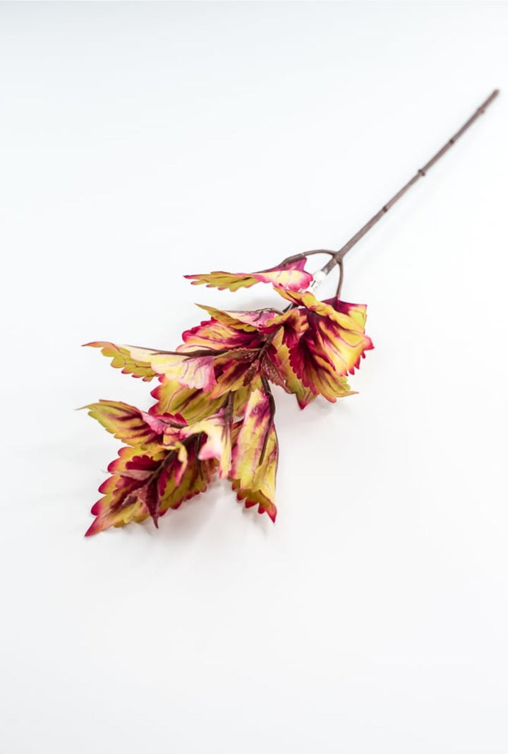 Colues Leaves Pick - Multi - Greenery MarketFL6857 - AUT