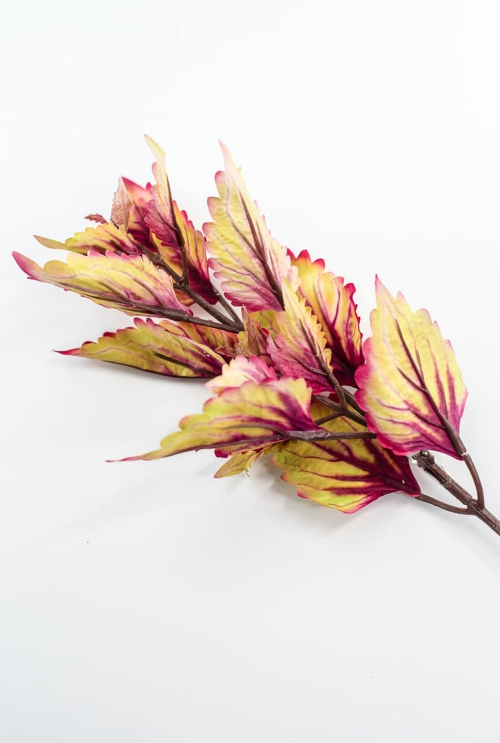 Colues Leaves Pick - Multi - Greenery MarketFL6857 - AUT