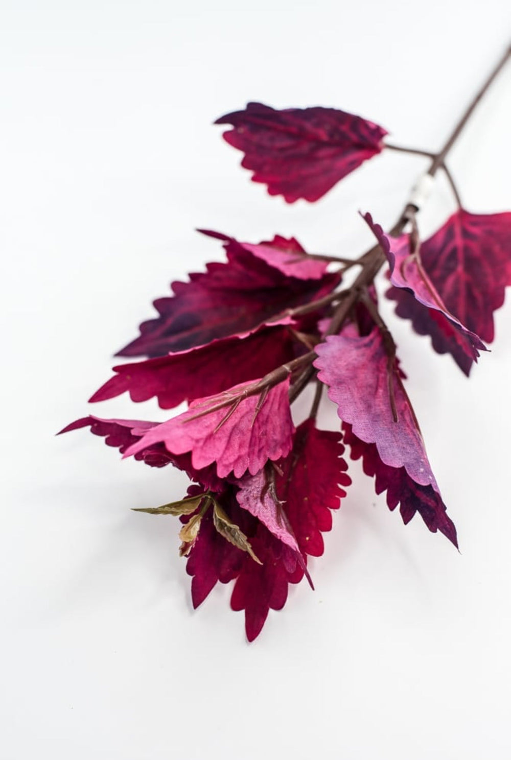 Colues Leaves Pick - Plum - Greenery MarketFL6857 - CRI
