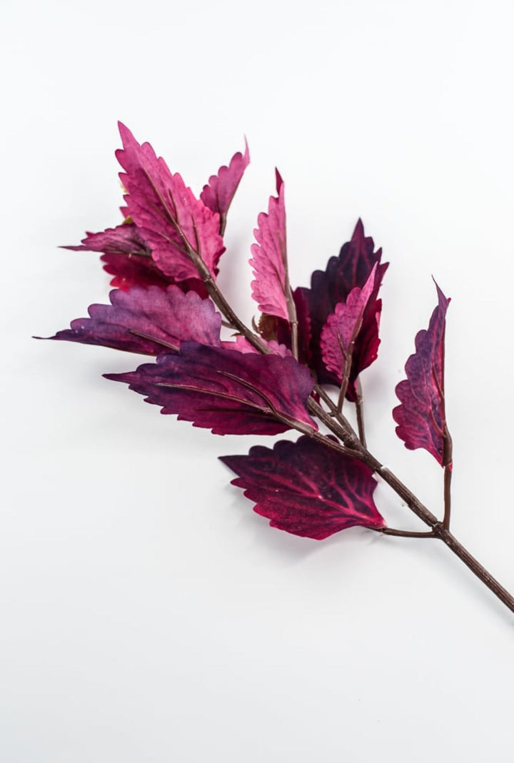 Colues Leaves Pick - Plum - Greenery MarketFL6857 - CRI