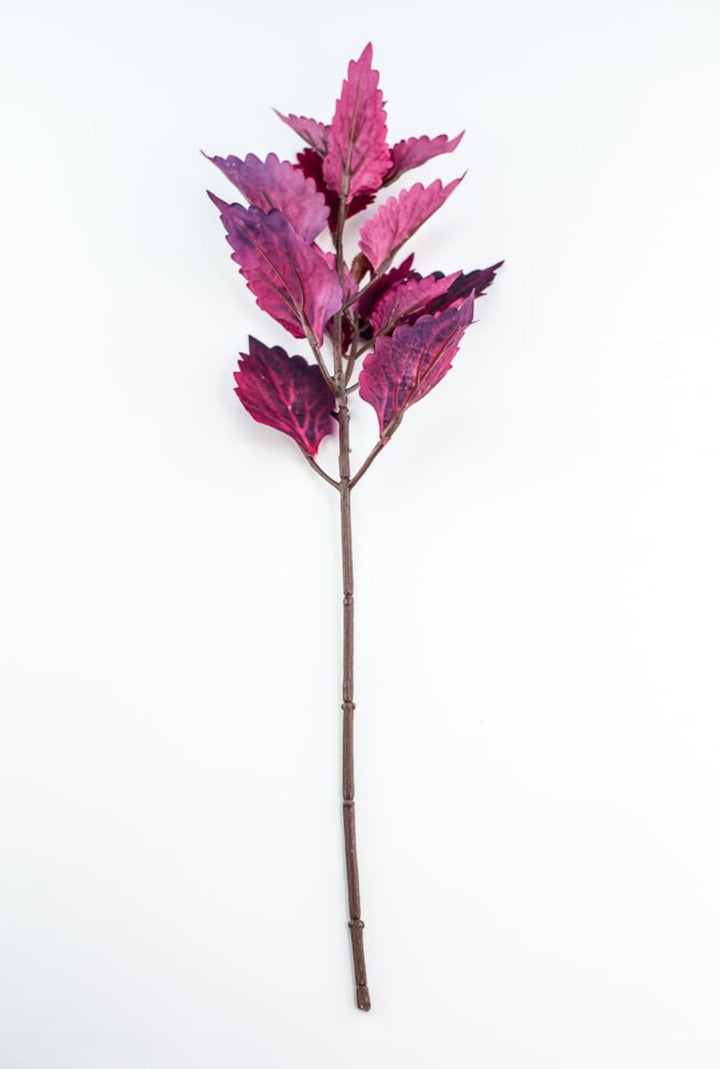 Colues Leaves Pick - Plum - Greenery MarketFL6857 - CRI