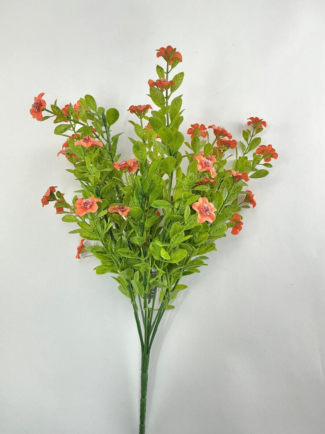 Coral filler flower bush - Greenery Market82396 - CORAL