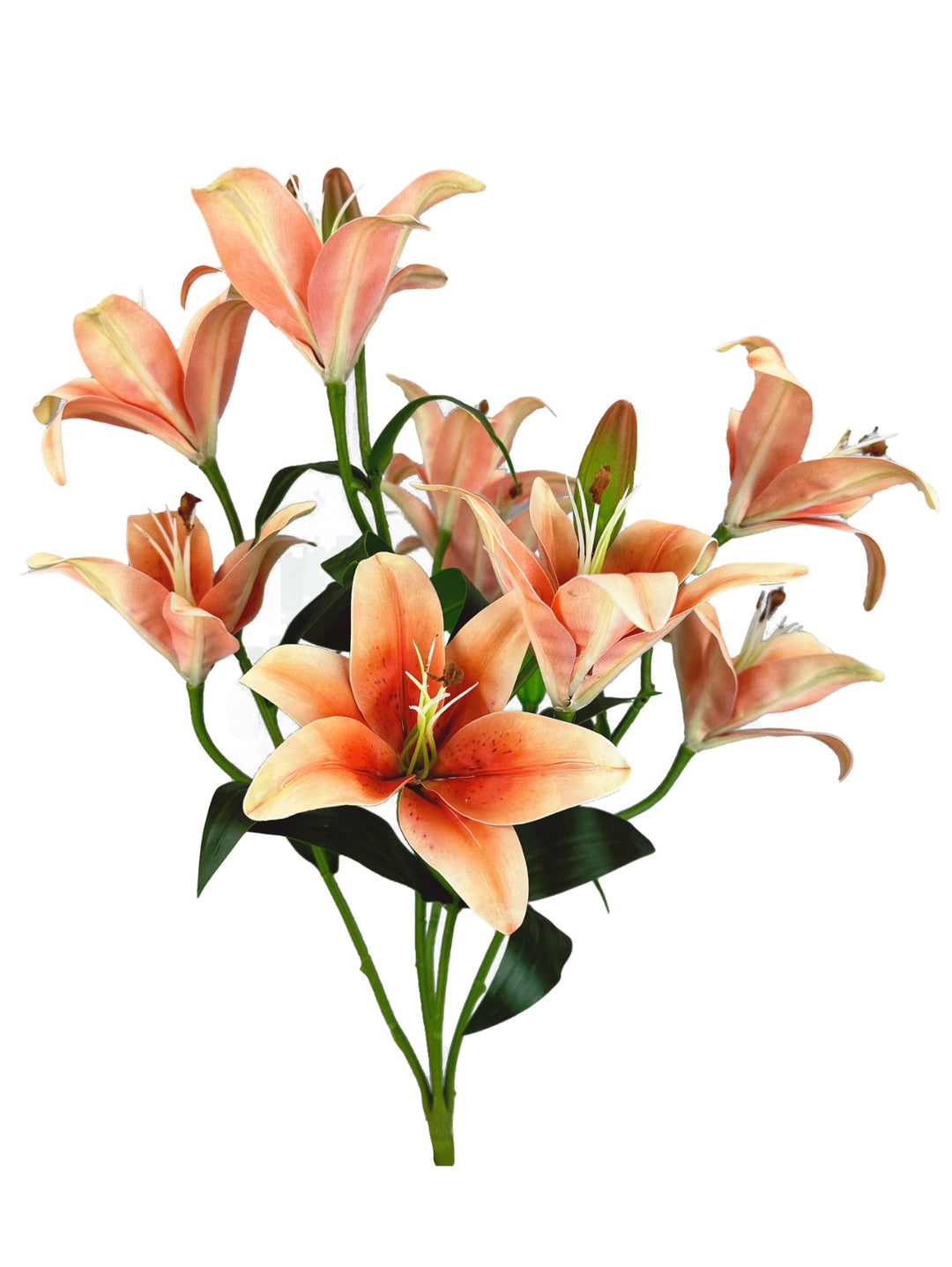 Coral Lily Bush - Greenery MarketArtificial Flora35148CO
