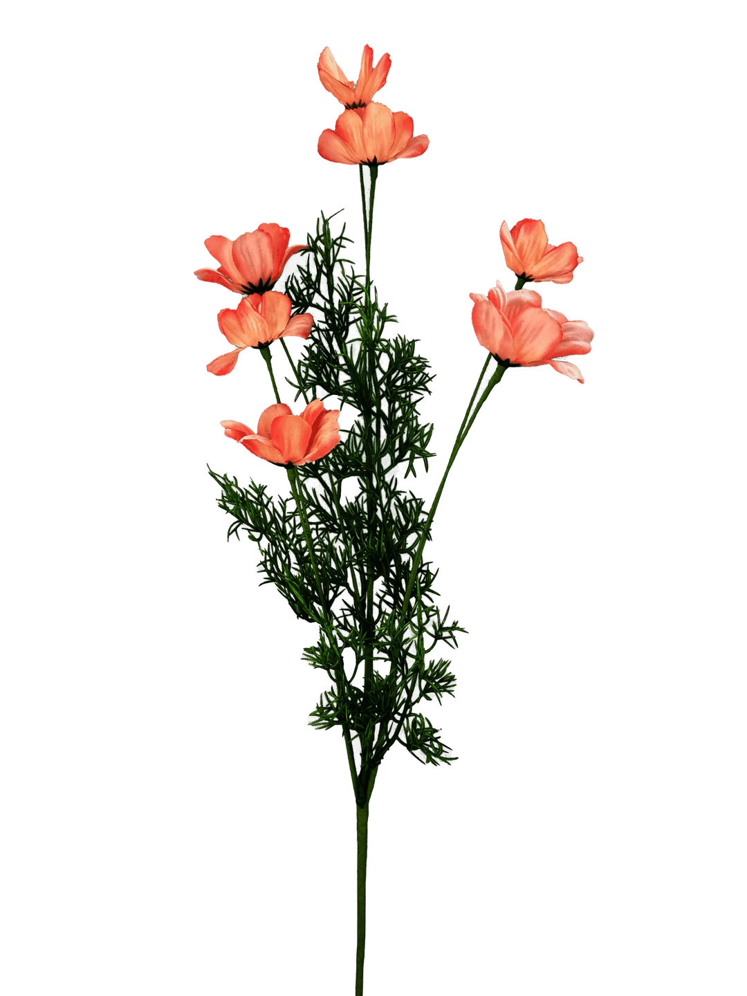Coral Poppy Spray - Greenery Market63693CO