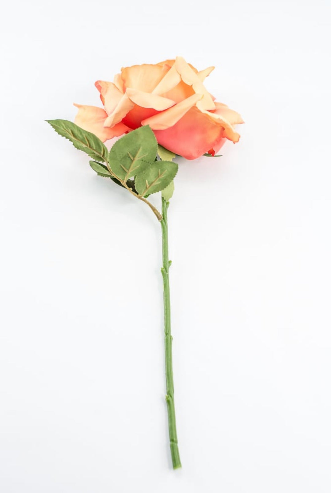 Coral Rose Short Stem - Greenery Market250607