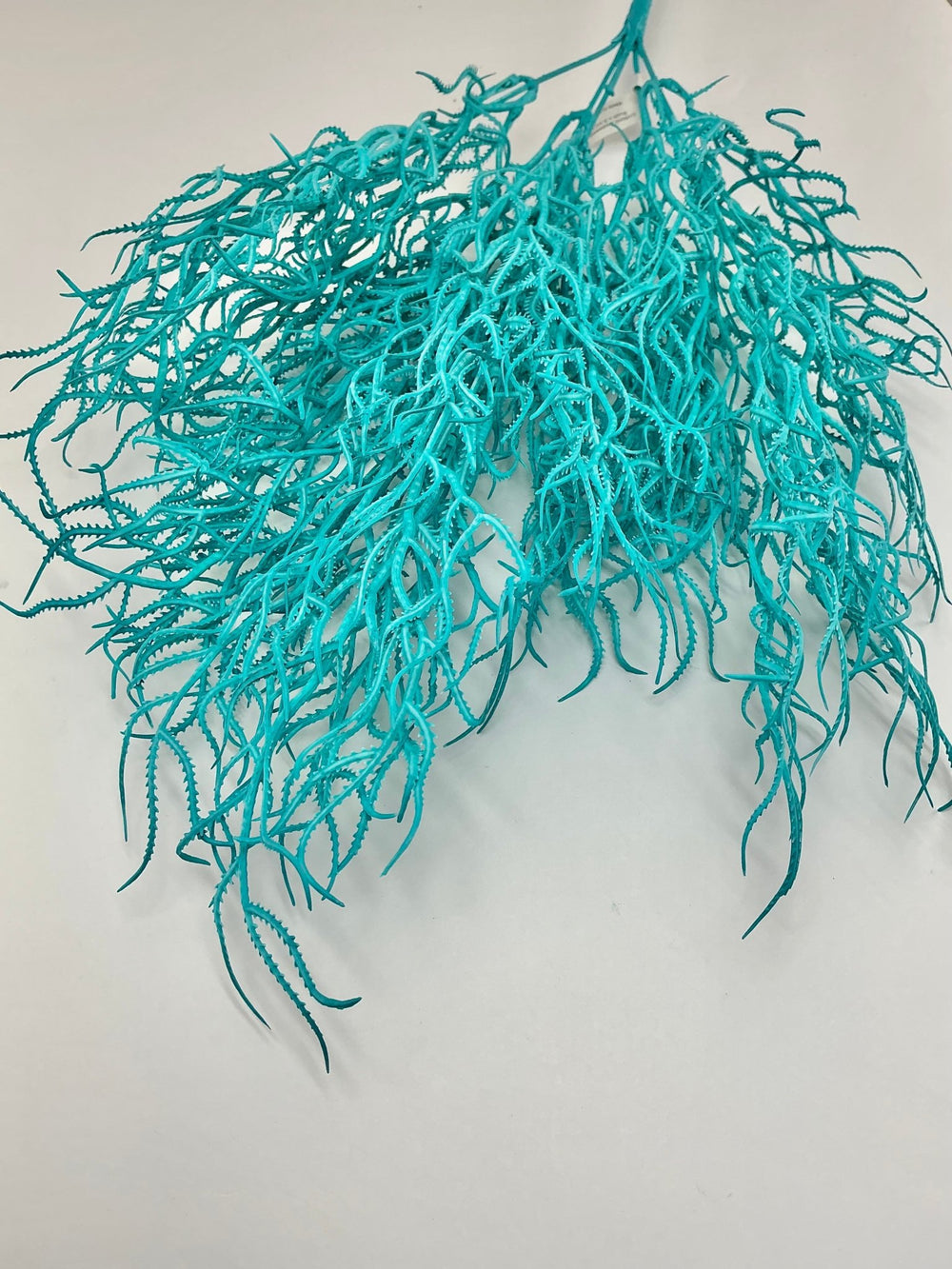 Cottonii seaweed bush - Aqua - Greenery MarketGM57097AQ