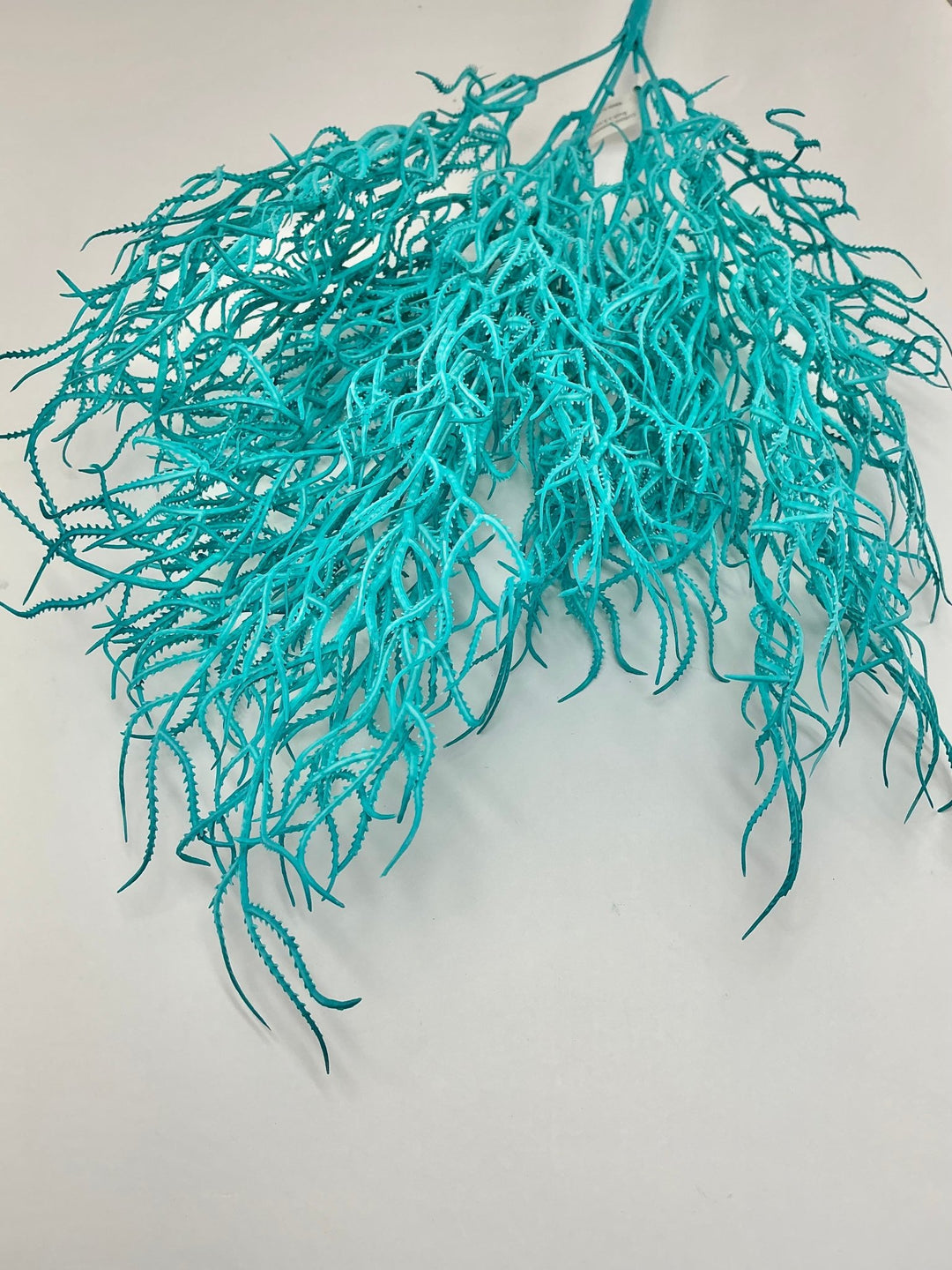 Cottonii seaweed bush - Aqua - Greenery MarketGM57097AQ