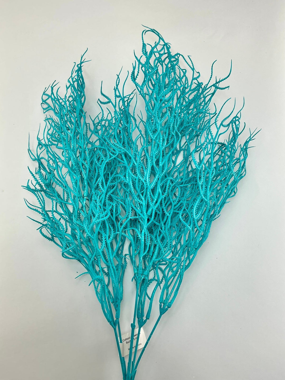 Cottonii seaweed bush - Aqua - Greenery MarketGM57097AQ
