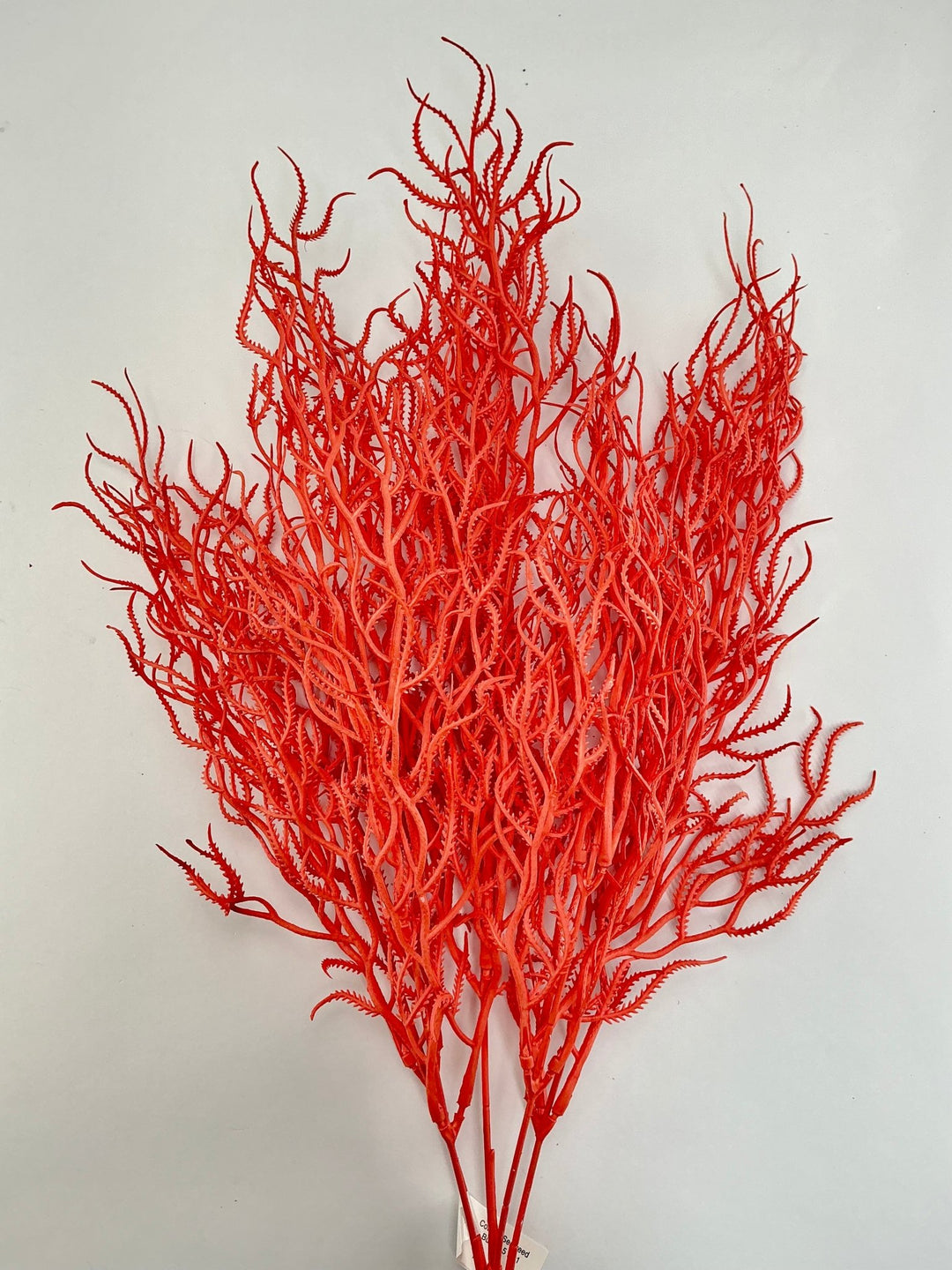 Cottonii seaweed bush - Coral - Greenery MarketGM57097COR