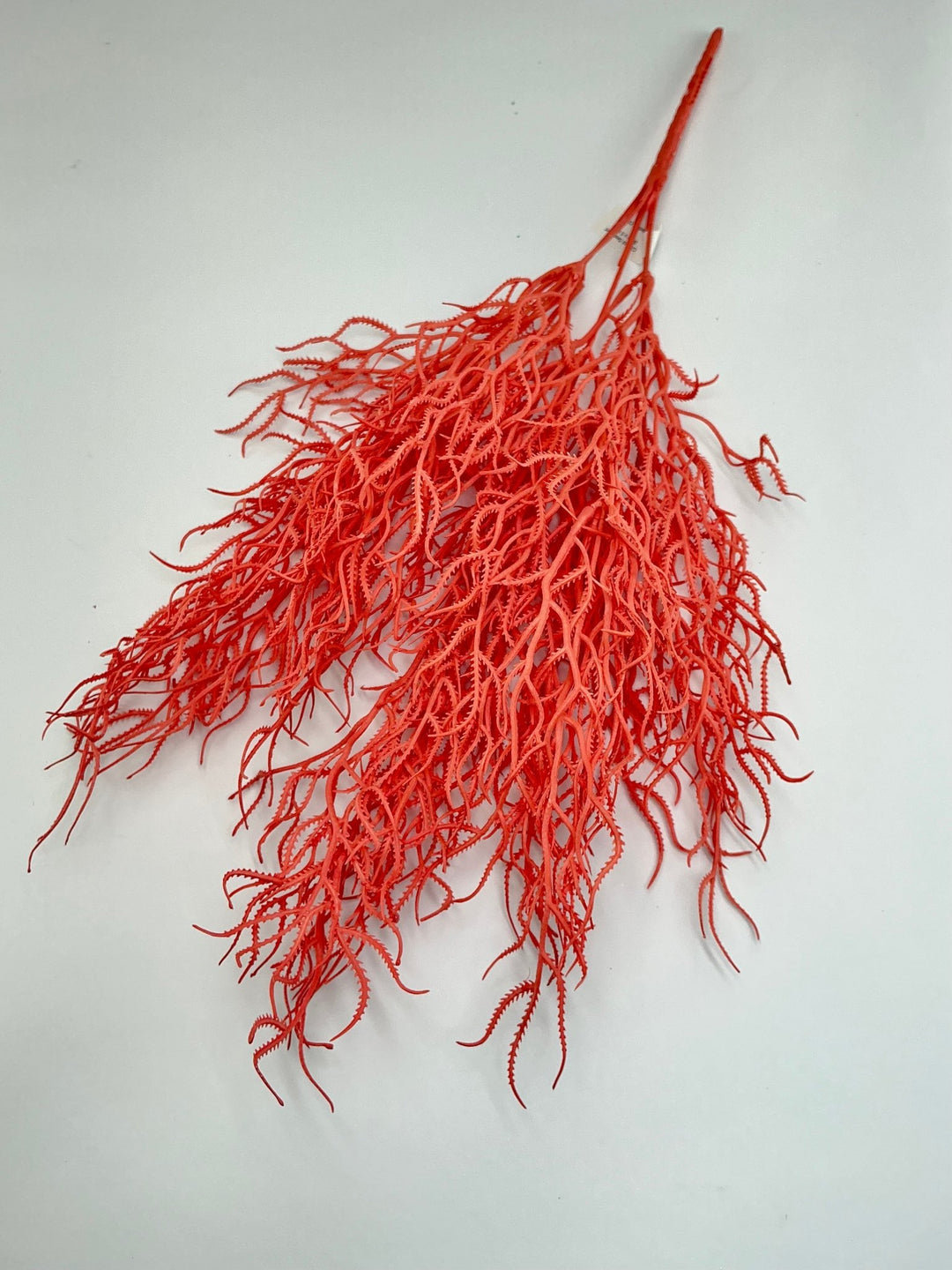 Cottonii seaweed bush - Coral - Greenery MarketGM57097COR