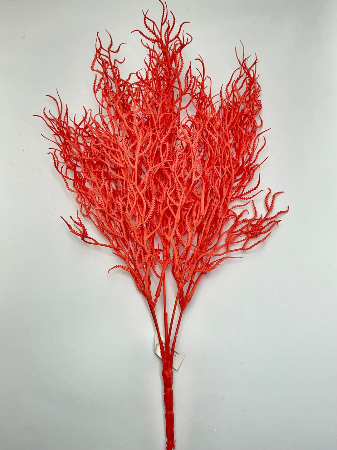 Cottonii seaweed bush - Coral - Greenery MarketGM57097COR