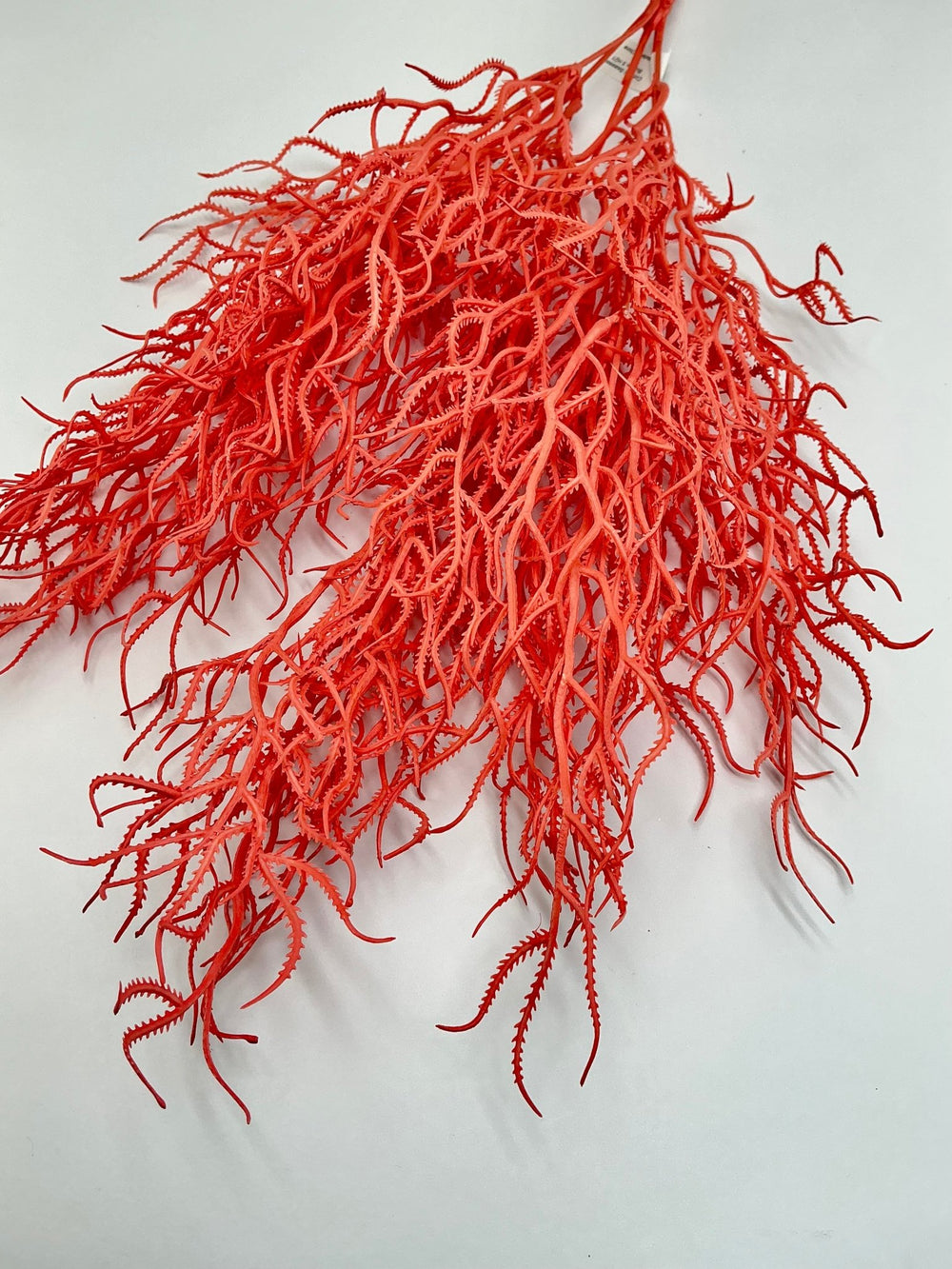 Cottonii seaweed bush - Coral - Greenery MarketGM57097COR