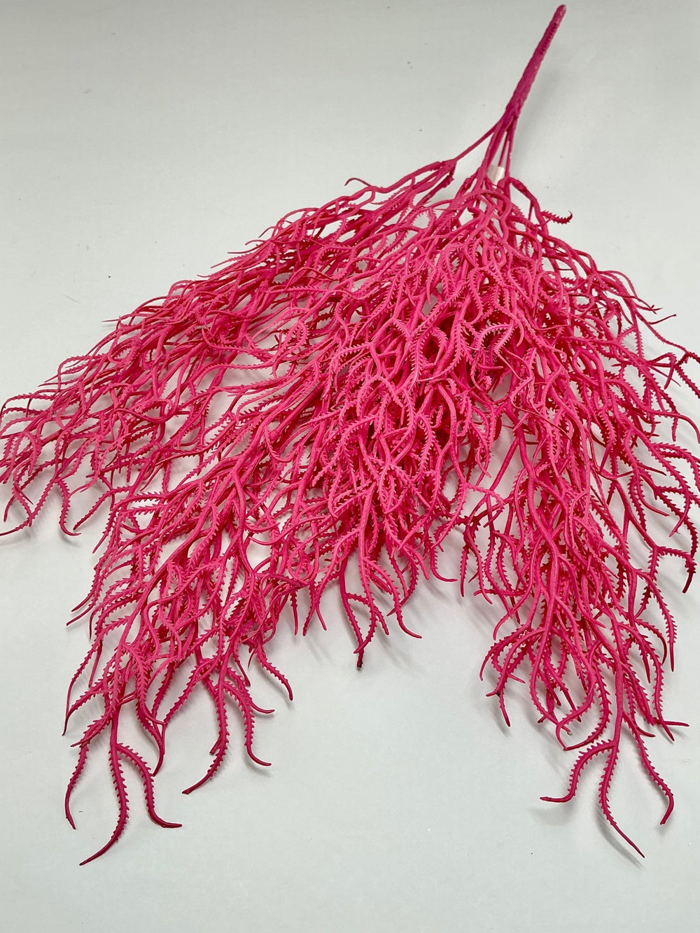 Cottonii seaweed bush - Pink - Greenery MarketGM57097PK